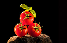 BÖHMER Tomaten