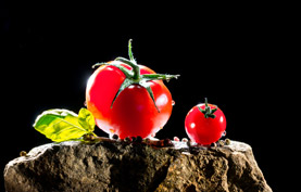 BÖHMER Tomaten #03